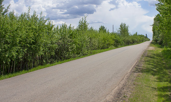 Rural road in Strathcona County.